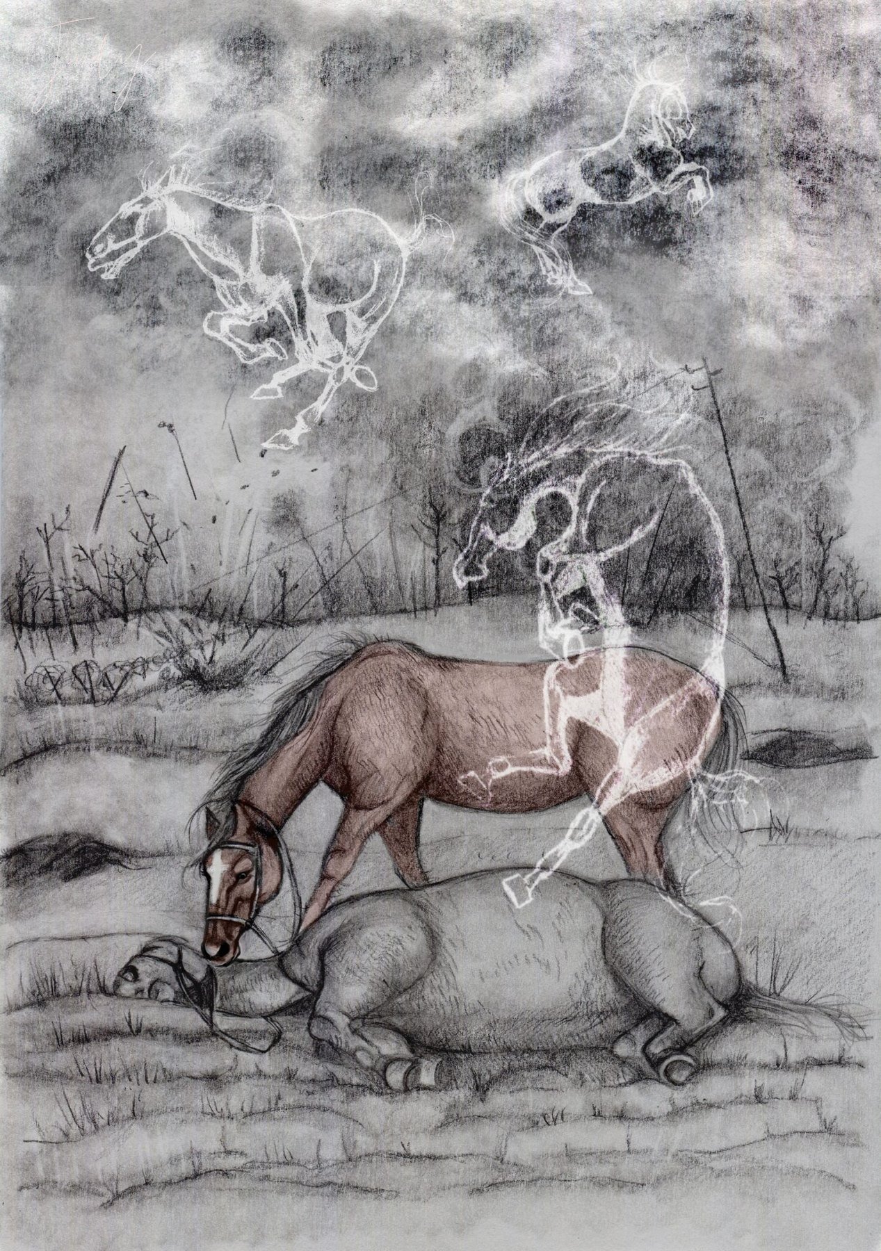 Judy's drawing