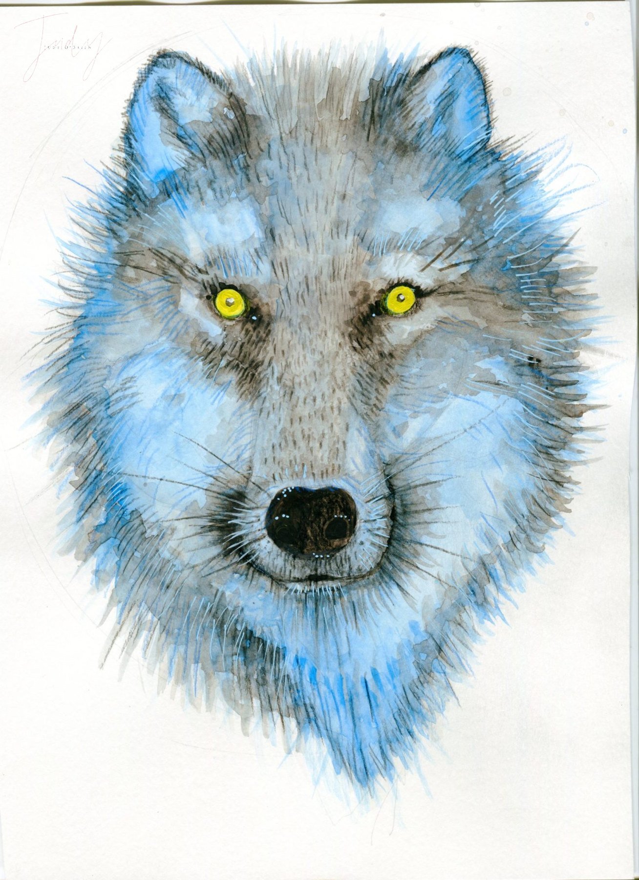 Judy's drawing