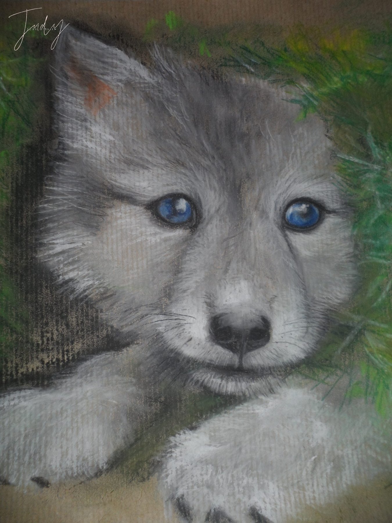 Judy's drawing